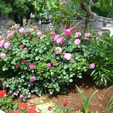 Bed & Breakfast Stella Maris 4*